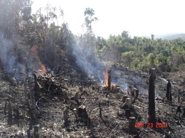 II. Deforestation/Denudation of Upland Areas and Siltation Unregulated