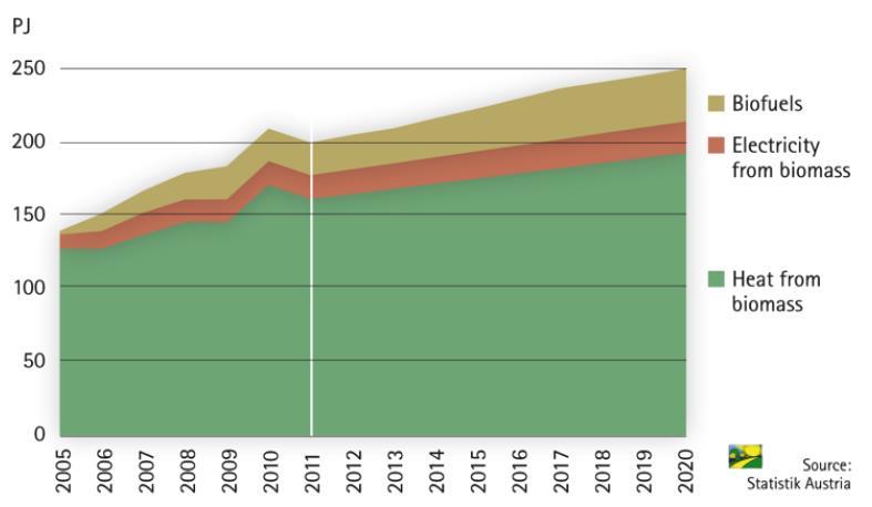 Final bioenergy consumption 2005-2011 in Austria
