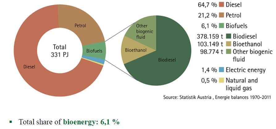 Biofuels in Austria 2011 Energy consumption in