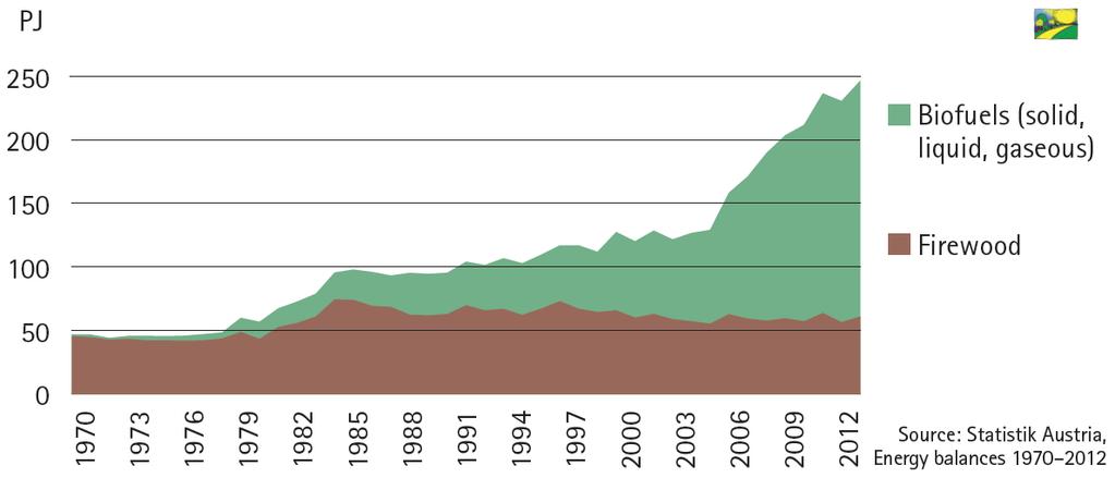 Gross Domestic Consumption of bioenergy in