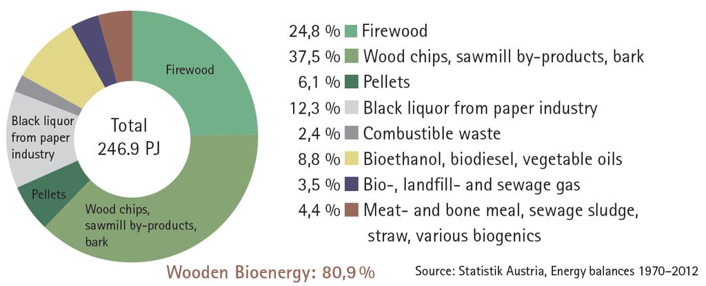 Gross Domestic Consumption of bioenergy