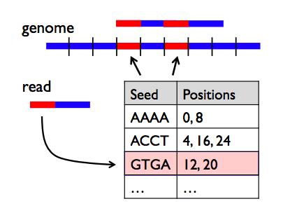 How to map reads to a reference genome?