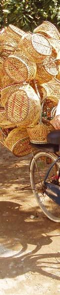 Sustainable harvest practices Basket-makers in Hung Phong usually buy in their raw materials (coconut leaves).
