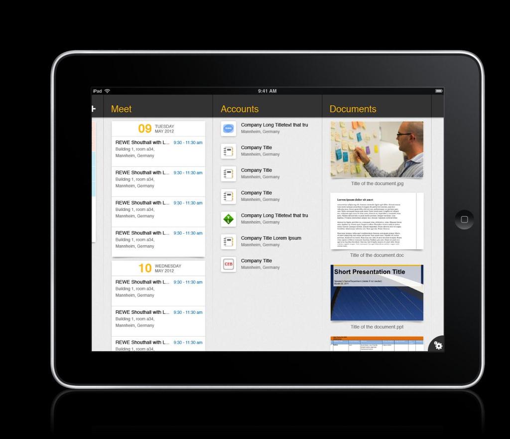 SAP Sales Diary Activities and Notes Management for Sales Reps