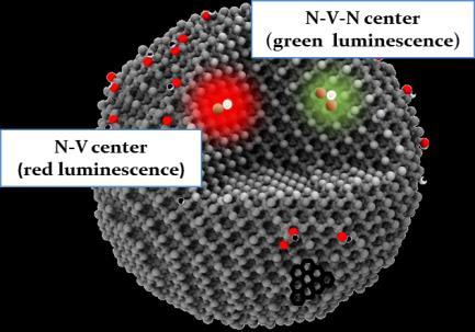 APPLICATION NOTE Rev. 7/2017, v4.0 Fluorescent Nanodiamonds: Bio-applications Fluorescent nanodiamonds (FNDs) offer a unique alternative to currently existing fluorescent biomarkers.