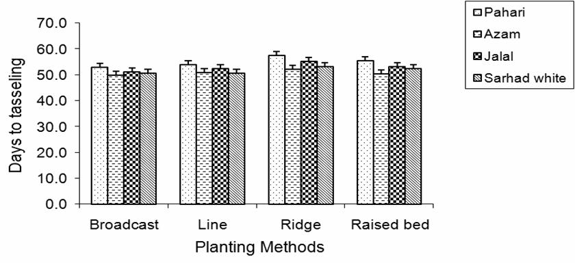 EFFECT OF PLANTING METHODS ON MAIZE 1631 Plant height (cm ) 2. 15. 1. 5.. Fig. 1. Effect of planting methods on days to emergence of maize Fig.