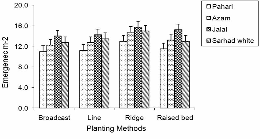 Effect of planting methods on days to silking of maize Fig. 7.