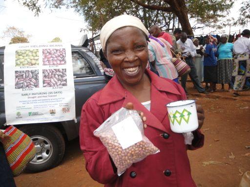 Workscited Capital FM Correspondent. Kenyan Farmers Access Smaller Seed Packets. CapitalFM. 26 March 2010. Web. MacRobert, J.F. Seed Business Management in Africa.