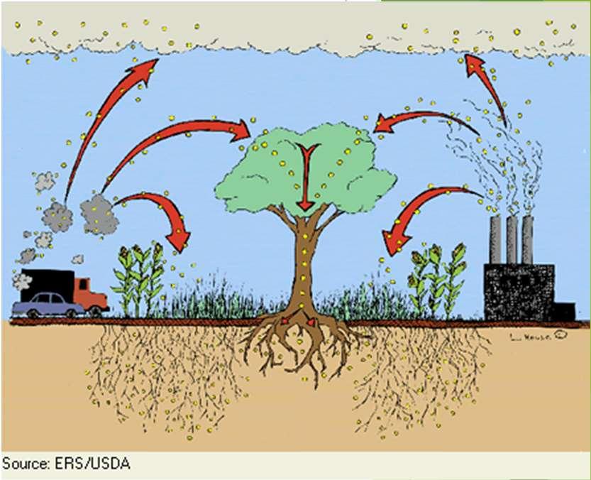 Climate Regulation (2) How Fast Can Soils Sequester Carbon? IPCC estimates: 1.1 to 1.8 tonnes of CO 2e per ha per year 2007 study for central Canada: 0.36 to 1.