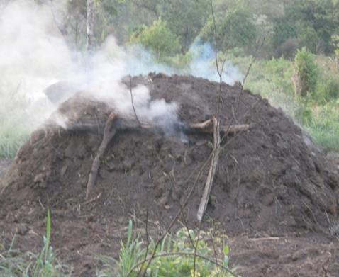 3. Mode of Operation of Charcoal