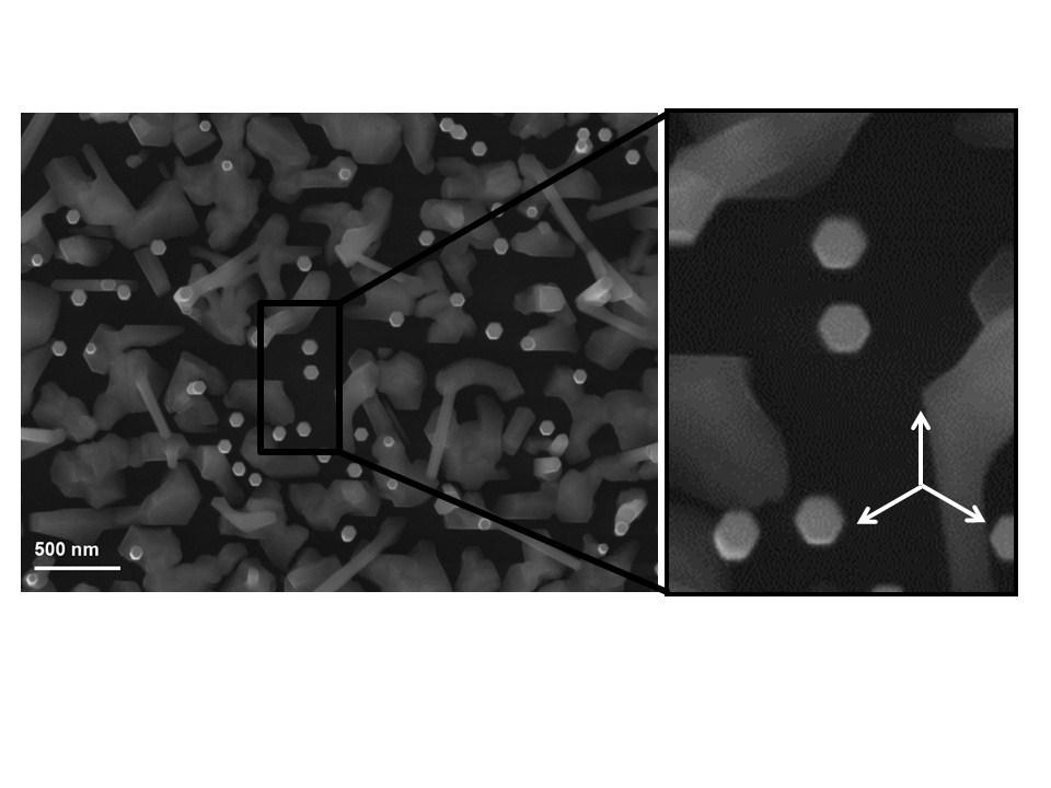 1. GaAs NWs morphology, chemistry and structure The SEM top view image (Figure S1) of the GaAs NWs shows the presence of vertical NWs and some nanocrystals. The Si substrate is still visible.