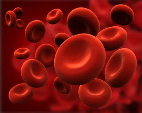 DTT Treated Reagent Red Cells for use in Resolving DARA