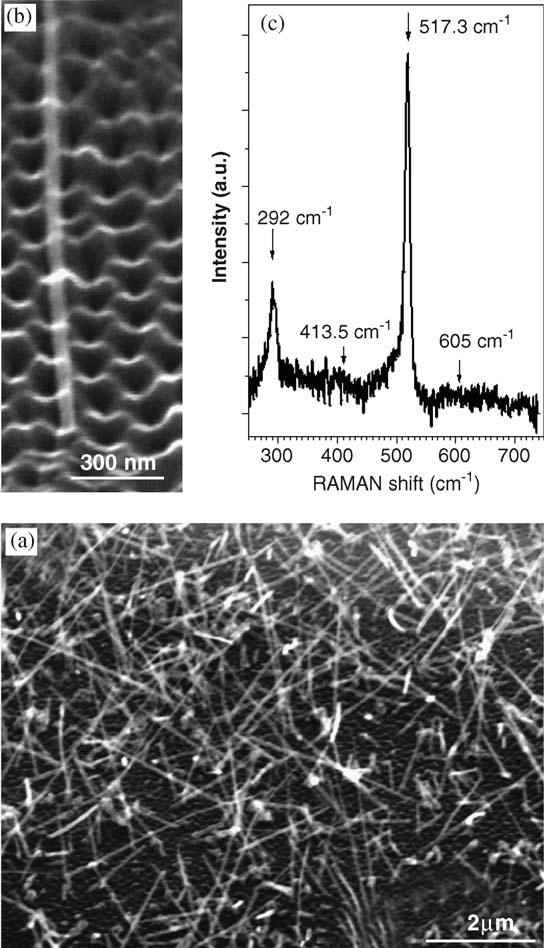 Fig. 2. (a) and (b) SEM characterizations of Si NWs grown in anodic alumina templates. The pore diameter was "'-30 nm, and (c) Raman characterizations of Si NWs. In Fig.