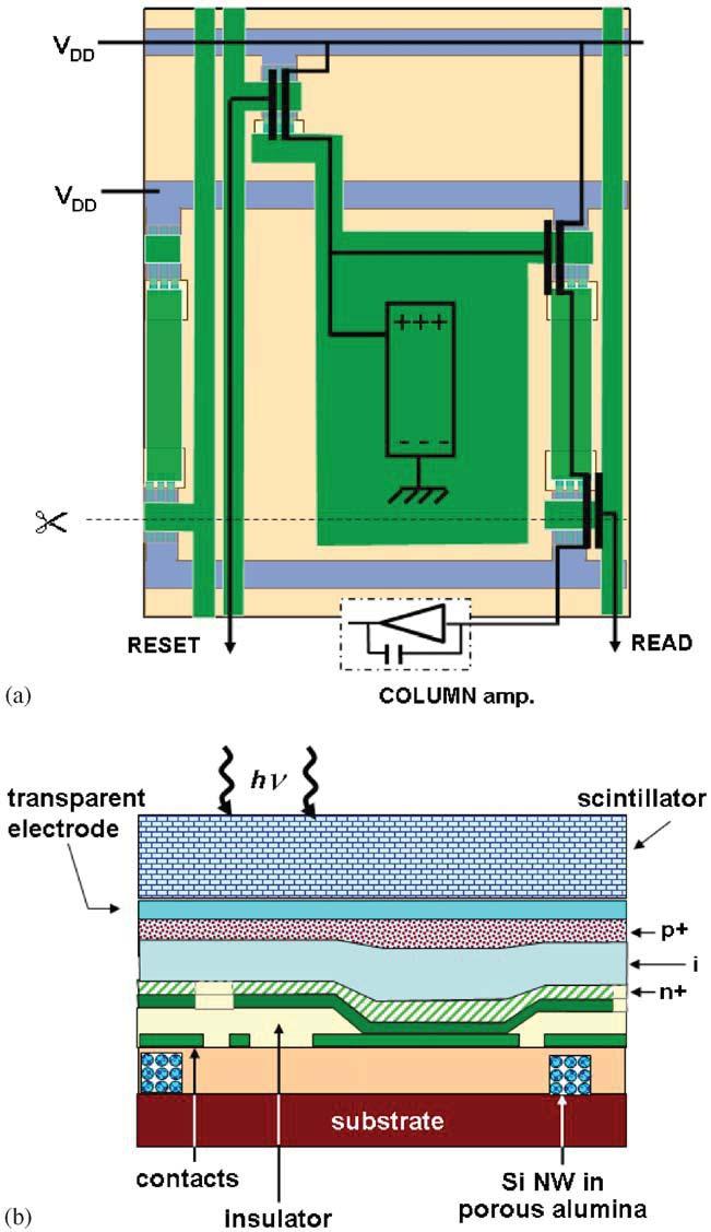 Fig. 5. (a) Pixel aspect after the first three mask levels and NW growth; and (b) cross section of the final structure. namely an amplifier, a reset and a switch transistor.