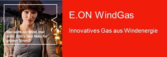 Example: Power to Gas pilot "WindGas Falkenhagen" First WindGas products on the market Customer segment End-customer Regional focus Germany