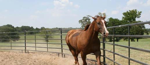 Material of horse fence panel KESHI Our horse fence panel, made of square,