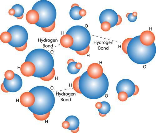 between different parts of the same molecule is called polarity, making water a polar molecule. The diagram in Figure to the right shows water s polarity.