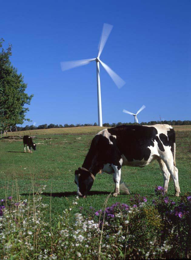 Wind: A Technology For Future Generations Energy Security Distributed Generation