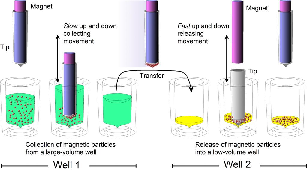Chapter 4: Functional Description 4.4.3 Washing magnetic particles Washing the magnetic particles is a frequent and an important processing phase.