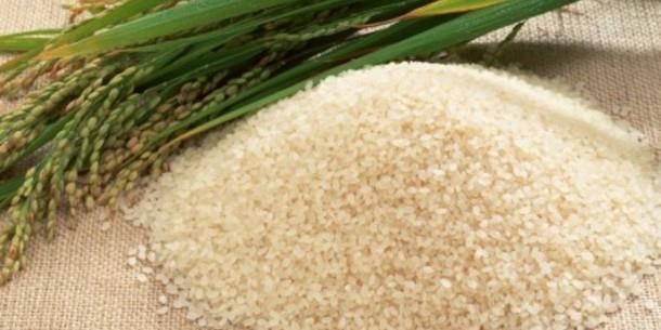 Potassium and Grain Quality 60% of world rice production is utilized as direct human consumption Premium product is an intact grain with a pearly while translucent color Husk and bran sequentially