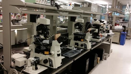 Instrumentation Comparative Genomics and Genetics lab is investing to laboratory instrumentation: Single cell