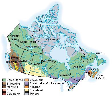 Canada faces a number of environmental issues It has many natural resources that it can use both for its