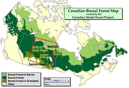 Canada s Timber Industry Vast (large)