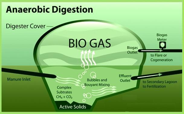 What is a Biogas Plant (Biodigester)?