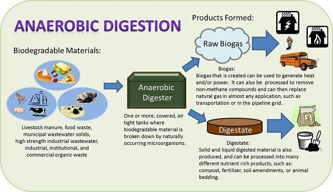 Biogas Principle Biogas as a Sustainable Solution to