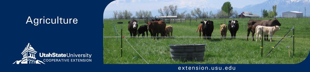 July 009 AG/Beef/009-0 Effects of Creep Supplementation While Grazing Improved Irrigated Pastures A.F. Summers, R.D. Wiedmeier, M. Stuart, and L.