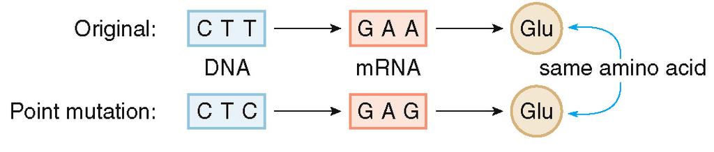 Mutations Definition A silent mutation has a negligible effect to the