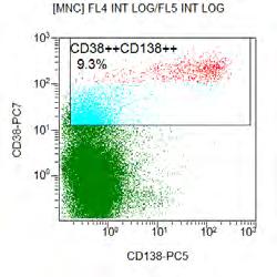 Optimized mab - MM Multiple Myeloma HSPC (CD45