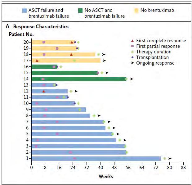 Checkpoint control - HD 23 patients with relapsed or refractory Hodgkin s lymphoma that had already been heavily treated received