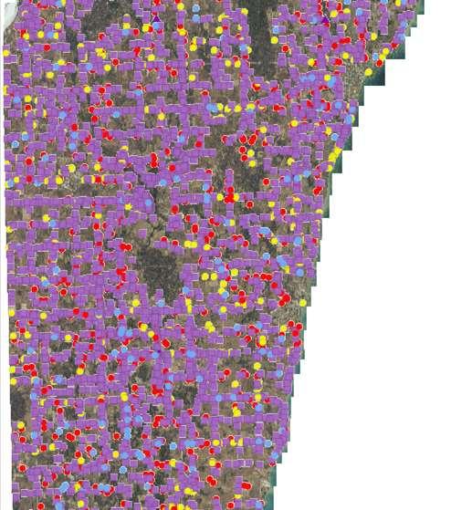 Kewaunee County Rural Sprawl Legend Purple = replaced or inspected Red = not inspected Yellow = holding tank Blue = abandoned system
