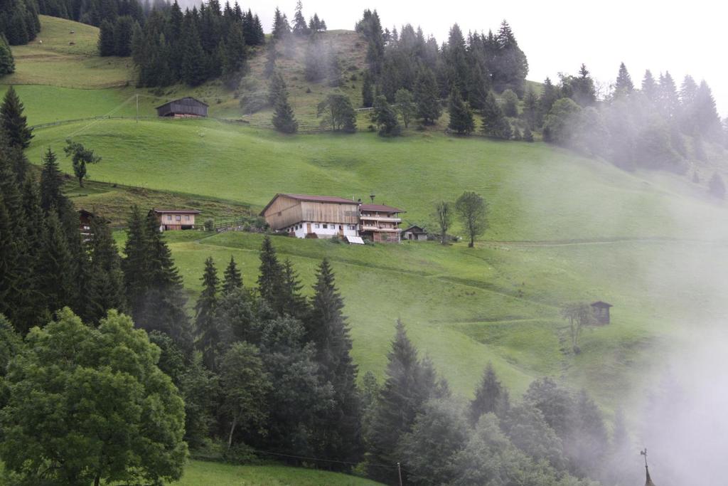 Mountain farms in Austria 66,558 farms (50 %) 14.