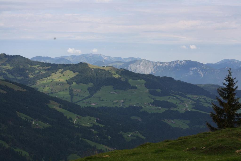 Relevance of Alpine pastures for Austrian Agriculture 8,667 Alpine pastures 15 %