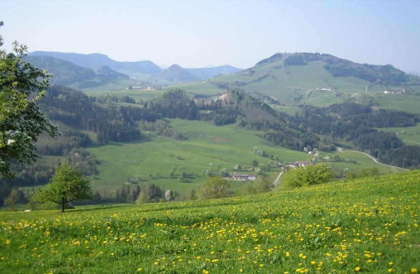 Economic perspectives and challenges for the Austrian agriculture CAP after 2013: Conversion from the historical model to a regional model (first pillar) International