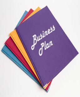 THE BUSINESS PLAN If we fail to plan, we plan to fail! So what is the key to success?