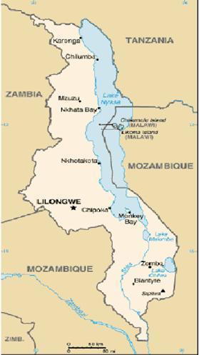 1.0 Introduction Malawi is a relatively small country in southern Africa bordered by Zambia, Tanzania and Mozambique. It has a total area of 118,480 km 2, a fifth of which is taken up by Lake Malawi.