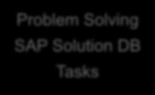 Verification Problem Solving SAP