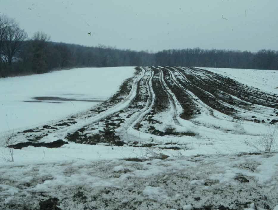 Winter Manure Application Considerations Avoid Steep Ground (> 6% Slope) Recent Research Shows More P Loss In
