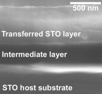 Therefore, different bonding procedures via various intermediate layers such as spin-on glass (SOG), Au, etc. were used in order to transfer a single-crystalline layer onto different substrates.