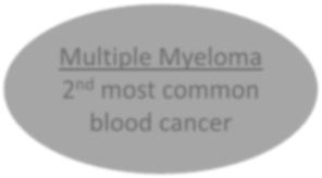 How common is Multiple Myeloma?