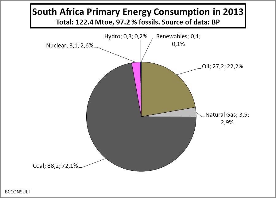 South Africa: primary energy supplies in 2013