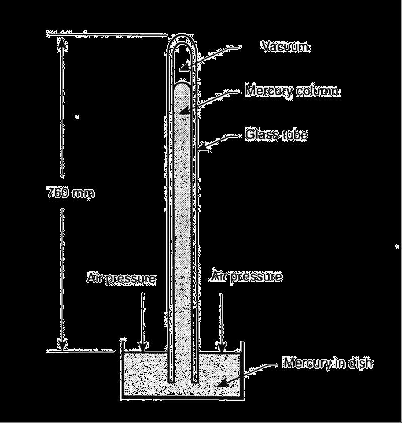 Figure -3. A mercury column supported by normal atmospheric pressure. Here the pressure of the atmosphere is forcing the column of mercury up into the tube.