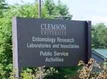 Biological Control Measures Rearing facilities: Clemson University Univ. of Tennessee N.C. Dept of Ag Virginia Tech University University of Georgia? If funding is available.