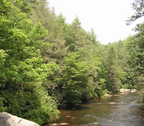 Hemlock occurs on 250,000 acres Shading for marginal Trout Streams Southern end of the Eastern and Carolina Hemlocks range Maintain & protect water quality Hemlocks in Georgia Chattooga River in
