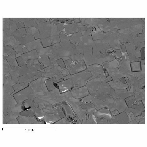 1 g m/2 5 g m/2 1 g m/2 2 g m/2 Figure 12 SEM images of residual flux surfaces on unclad X314