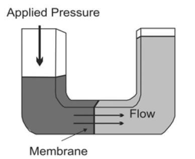Reverse Osmosis Main desalination technologies Multi-stage Flash Multi-effect