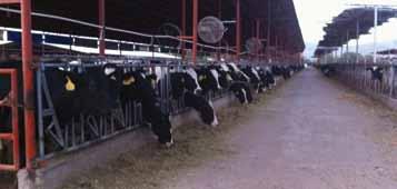 dg precisionfeeding The components of the system THE SYSTEM dg precisionfeeding is an innovative system that allows the farmer to distribute a balanced ration to the animals, as determined by the